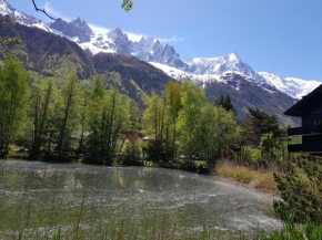 bel appartement , son jardin et le lac